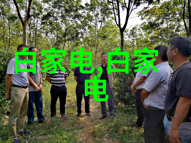 消费风向渐变 空调企业技术创新破局求进