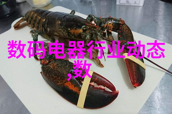 新质赋能 数链未来 2024第四届中国清洁电器产业峰会落幕